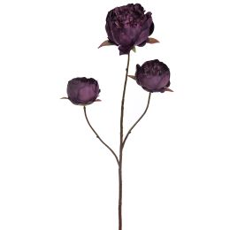 FALL PEONY X3 82CM PURPLE