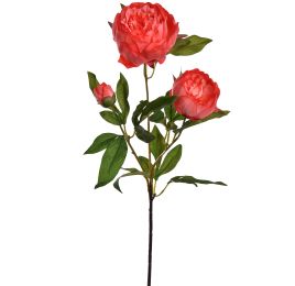 PEONY SPRAY X3 70CM BEAUTY