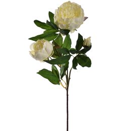 PEONY SPRAY X 3 70CM CREAM