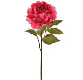 OPEN PEONY 57CM BEAUTY