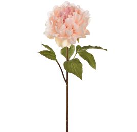 OPEN PEONY 57CM CREAM PINK