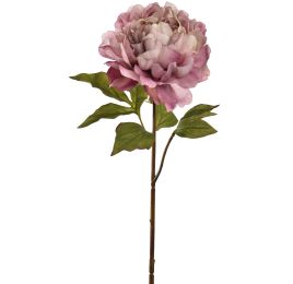 OPEN PEONY 57CM MAUVE