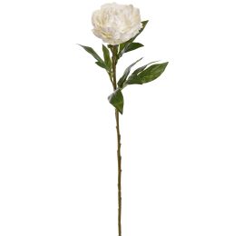 VELVET PEONY 65CM CREAM