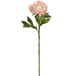 VELVET PEONY 65CM PEACH