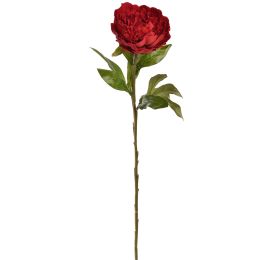 VELVET PEONY 65CM RED