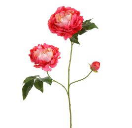 OPEN PEONY BRANCH 80CM CORAL