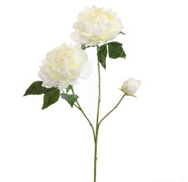OPEN PEONY BRANCH 80CM CREAM