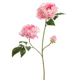 OPEN PEONY BRANCH 80CM CREAM PINK