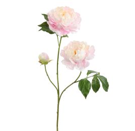 OPEN PEONY BRANCH 80CM PINK