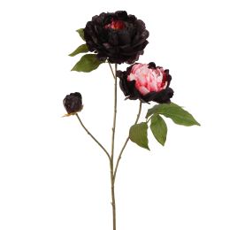 OPEN PEONY BRANCH 80CM RED BLACK