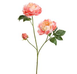 OPEN PEONY BRANCH 80CM SALMON