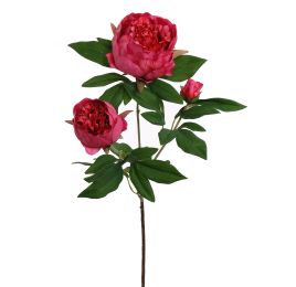 PEONY BRANCH 70CM BEAUTY