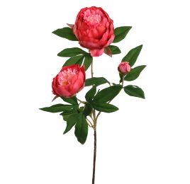 PEONY BRANCH 70CM CORAL