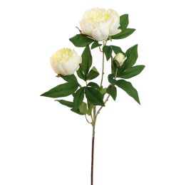 PEONY BRANCH 70CM CREAM