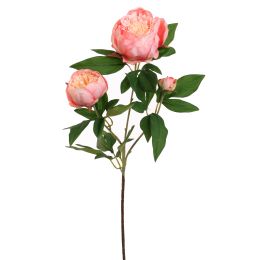 PEONY BRANCH 70CM SALMON