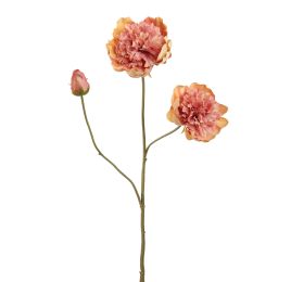 OPEN PEONY 64CM PEACH