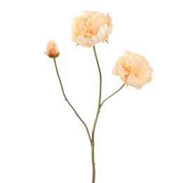 OPEN PEONY 64CM VANILLA