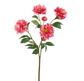PEONY SPRAY 66CM BEAUTY