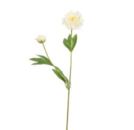 PEONY 65CM CREAM
