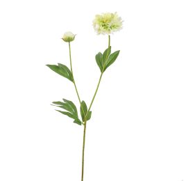 PEONY 65CM GREEN