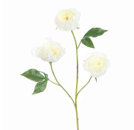 PEONY X 3 80CM CREAM