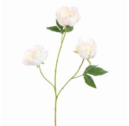 PEONY X 3 80CM CREAM PINK