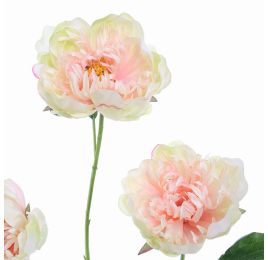 PEONY X 3 80CM PEACH