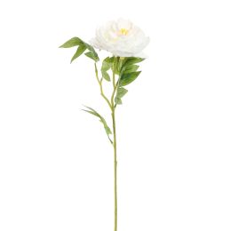 OPEN PEONY 65CM CREAM