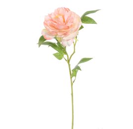OPEN PEONY 65CM PINK