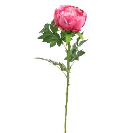 PEONY 70CM BEAUTY