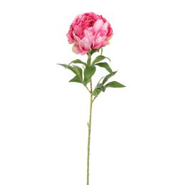 OPEN PEONY 80CM BEAUTY