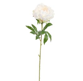 OPEN PEONY 80CM CREAM