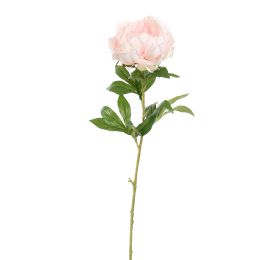 OPEN PEONY 80CM PINK