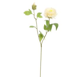 MINI PEONY 65CM VANILLA