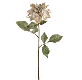DAHLIA DRY LOOK 70CM GREEN