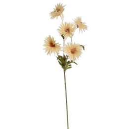 DAHLIA X5 SPRAY 73CM VANILLA