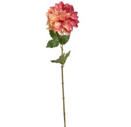 DAHLIA 60CM BEAUTY