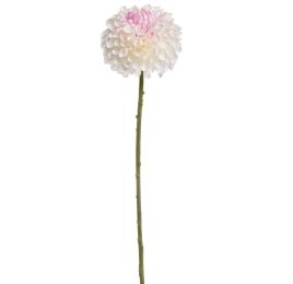 CURLED DAHLIA 64CM CREAM