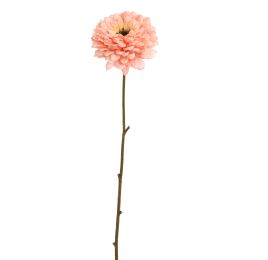 ZINNIA 70CM PEACH