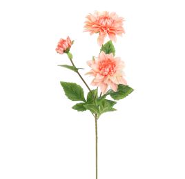 DAHLIA X3 SPRAY 65CM PEACH