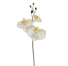 ORCHID W/3 FLOWERS 63CM CREAM