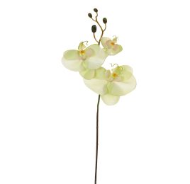 ORCHID W/3 FLOWERS 63CM GREEN