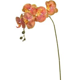 TROPICAL ORCHID 70CM ORANGE