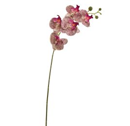 TROPICAL ORCHID 70CM PURPLE