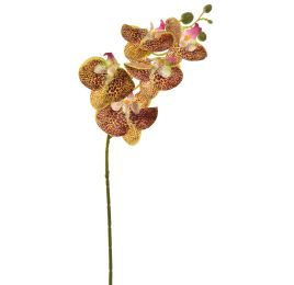 TROPICAL ORCHID 70CM YELLOW
