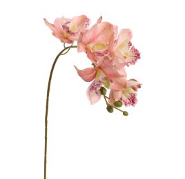 CYMBIDIUM 72CM PINK