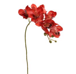 CYMBIDIUM 72CM RED