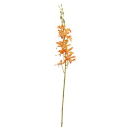 ORCHID 80CM ORANGE