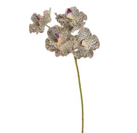VANDA 62CM CREAM LILA