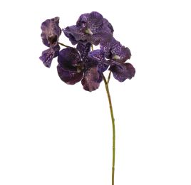 VANDA 62CM PURPLE